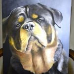 ????????????????????????????????????